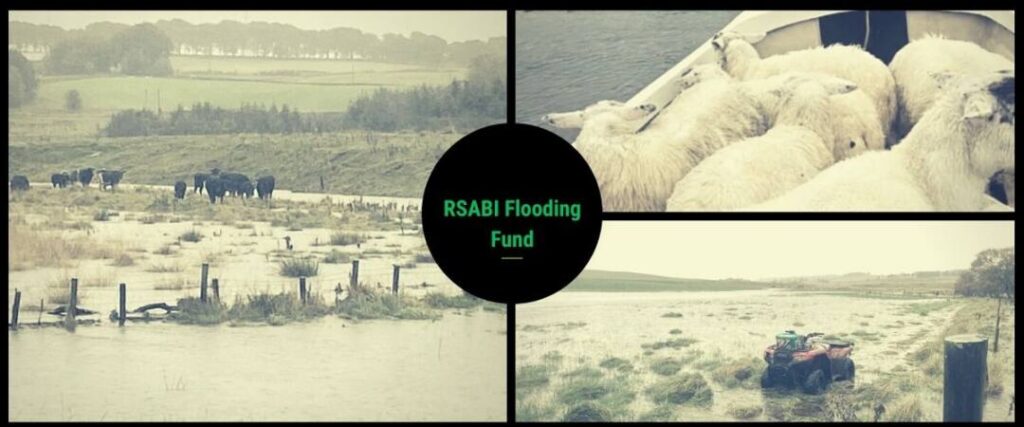 RSABI Flooding Fund