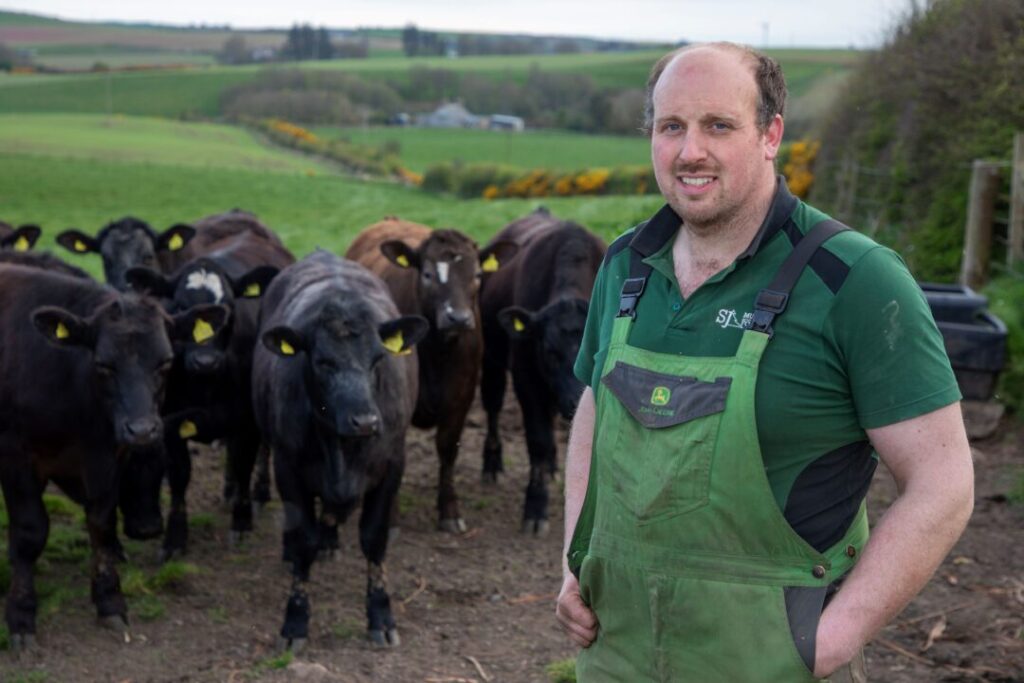 Stuart Munro and cattle 2